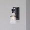 Designers Fountain Field Daisy Lane Black Outdoor Hardwired Wall Sconce D327M-14EW-BK - alternate 2